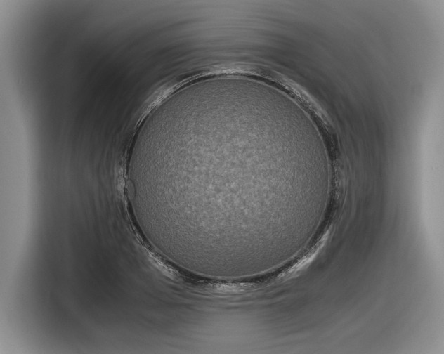 X0000116580985200912171520