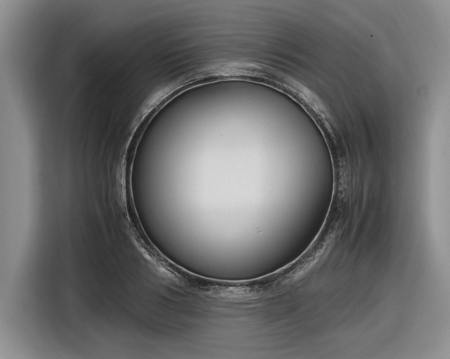 X0000116580986200912171520