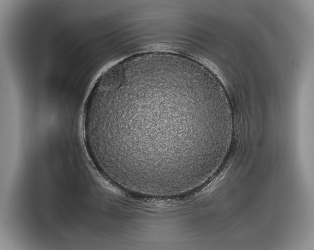 X0000116580987200912171520