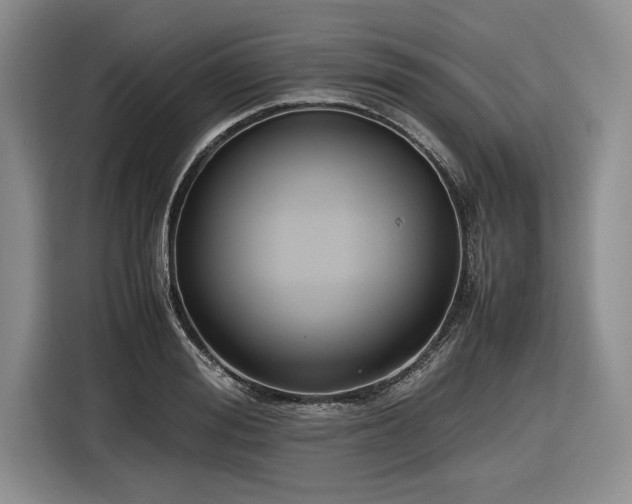 X0000116580988200912171520