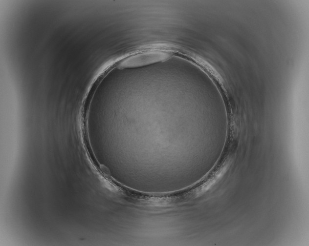 X0000116580989200912171520