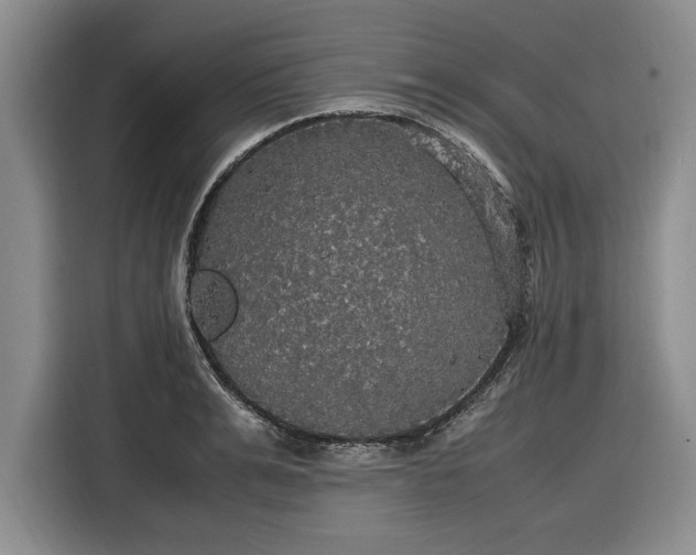 X0000116580991200912171520