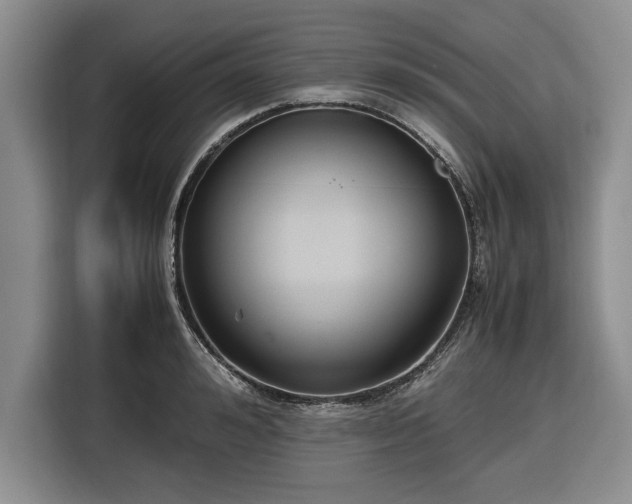 X0000116580992200912171520