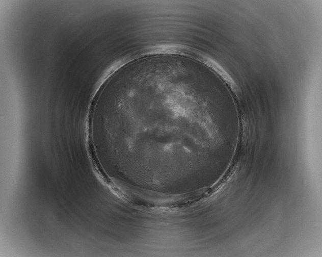 X0000116580994200912171520