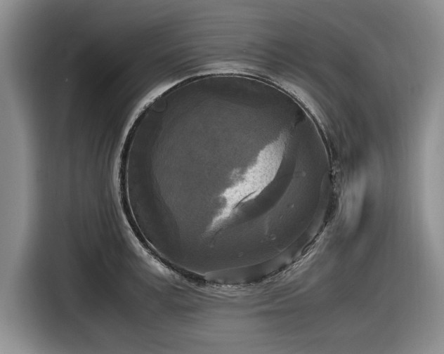 X0000116580995200912171520