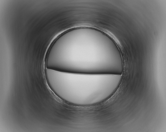 X0000116580996200912171520