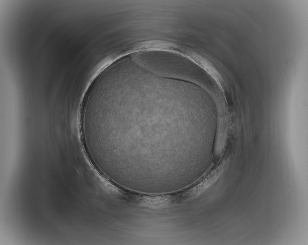 X0000116580997200912171520