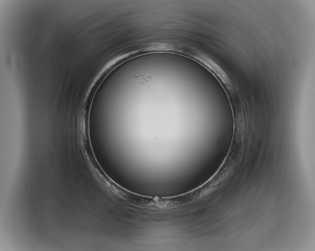 X0000116581000200912171520