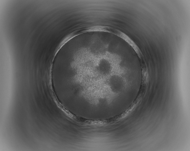 X0000116581002200912171520