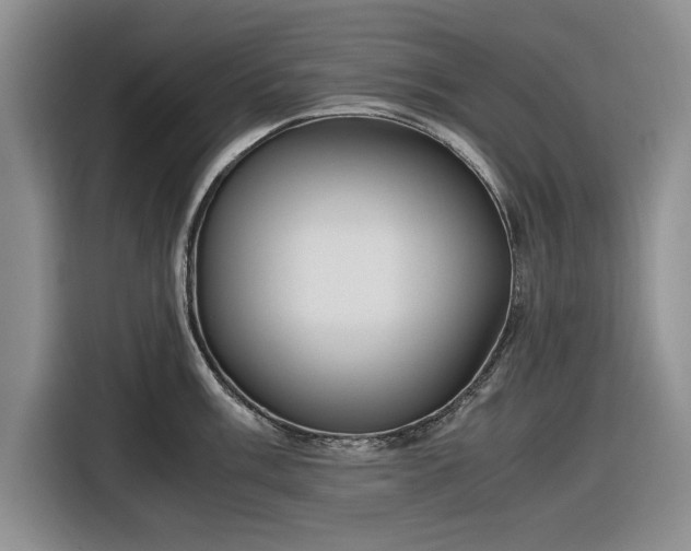 X0000116581003200912171520