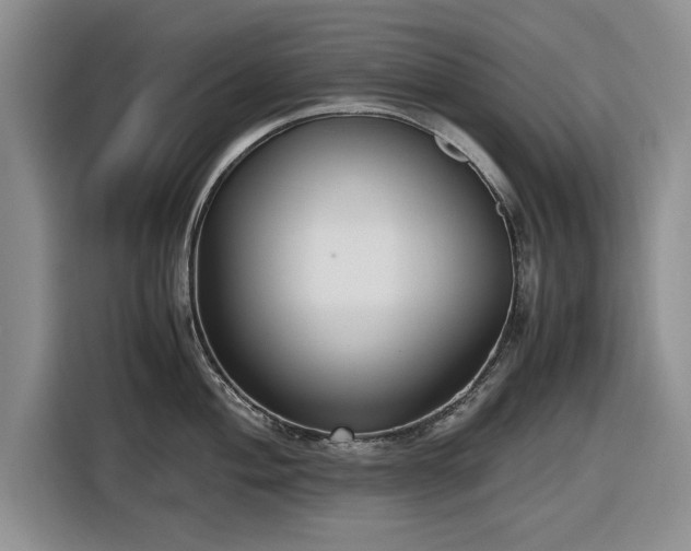 X0000116581004200912171520