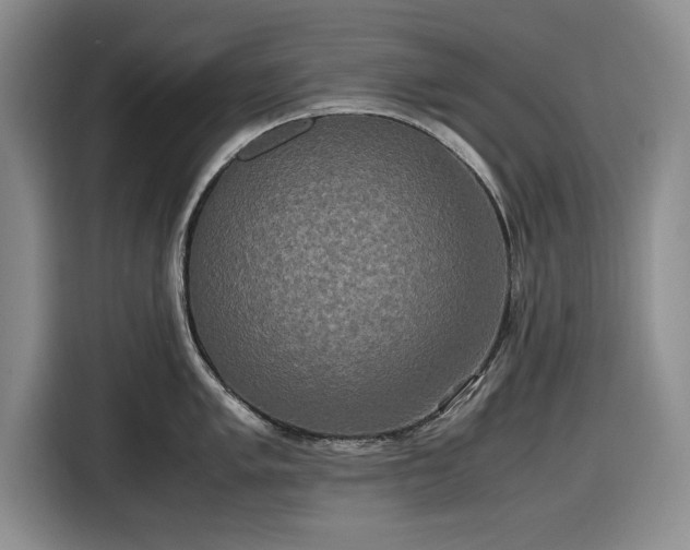 X0000116581005200912171520