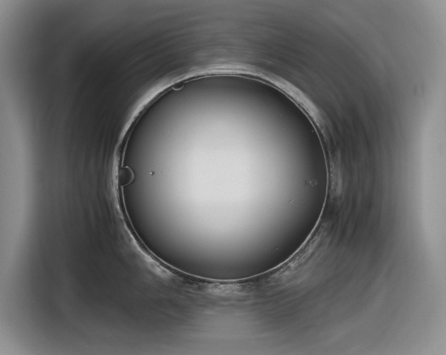 X0000116581006200912171520