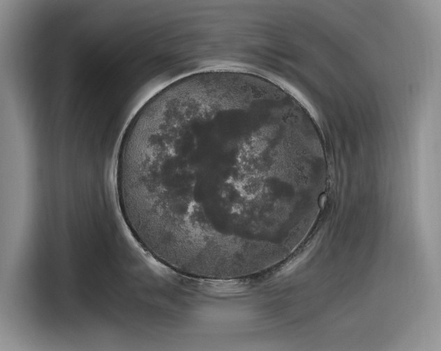 X0000116581007200912171520