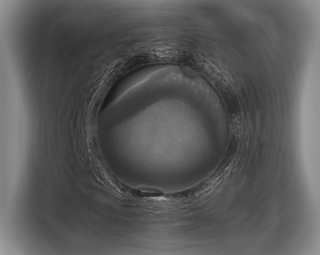 X0000116581009200912171519