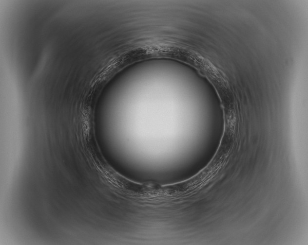 X0000116581012200912171519