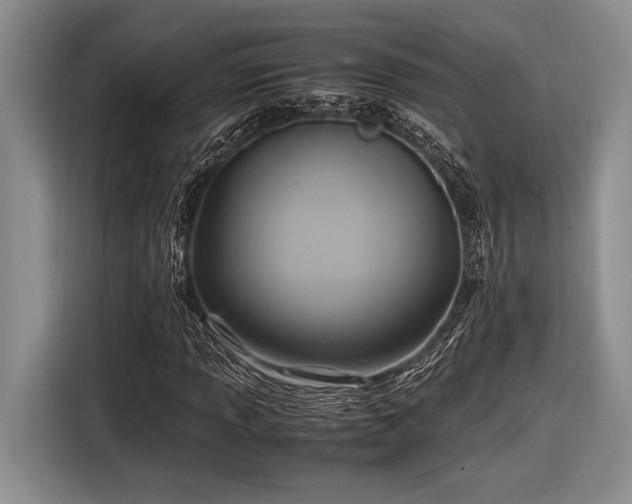 X0000116581013200912171519