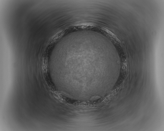 X0000116581014200912171519