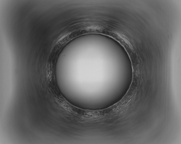 X0000116581015200912171519