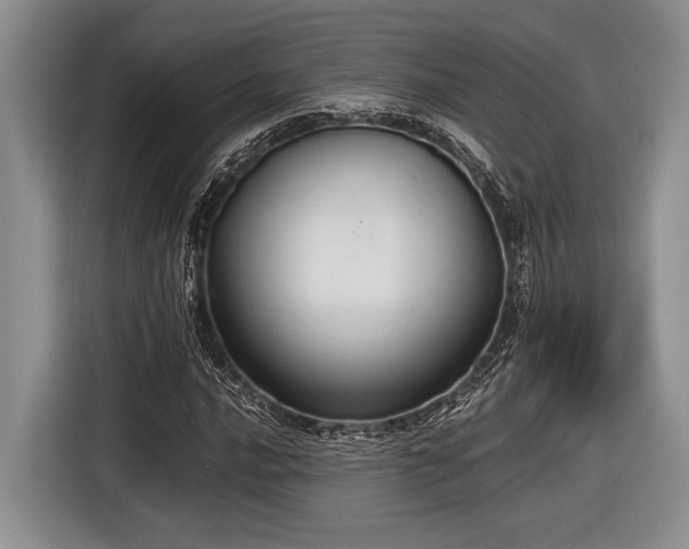 X0000116581016200912171519