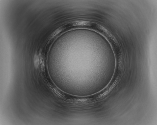 X0000116581017200912171519