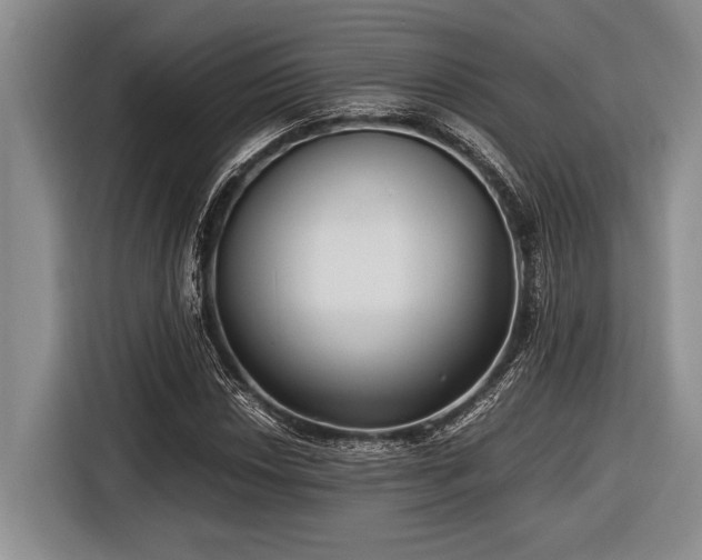 X0000116581018200912171519