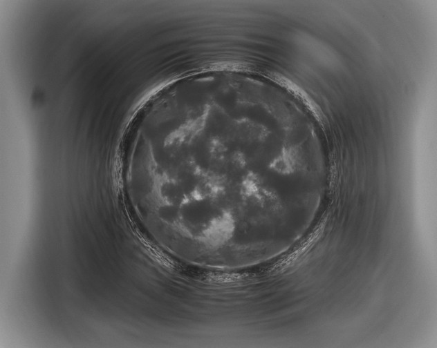 X0000116581019200912171519