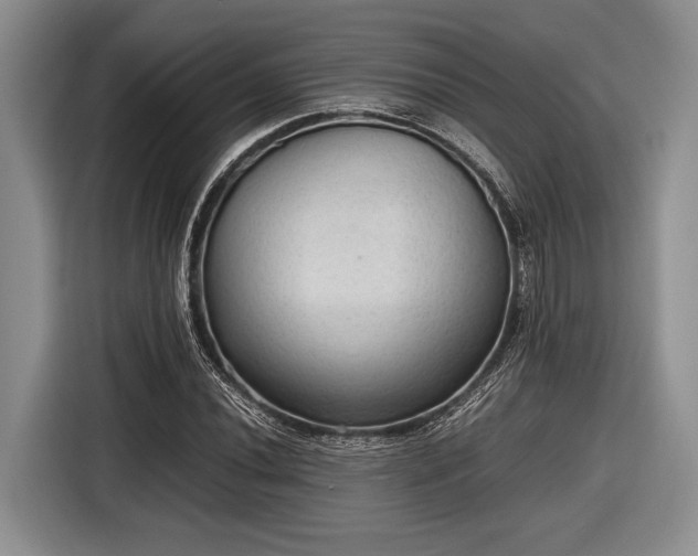 X0000116581020200912171519