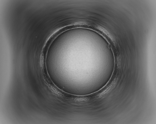 X0000116581021200912171519