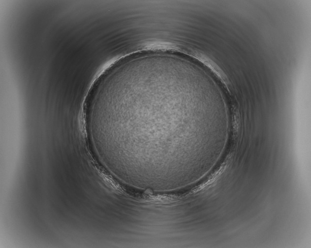 X0000116581022200912171519