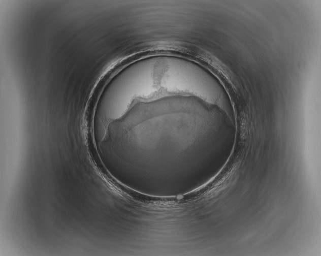 X0000116581024200912171519