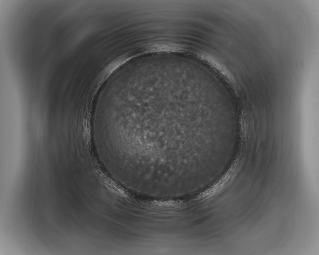 X0000116581025200912171519