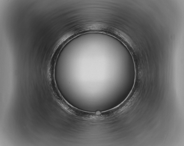 X0000116581026200912171519