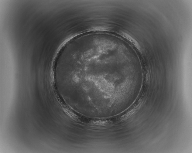 X0000116581027200912171519