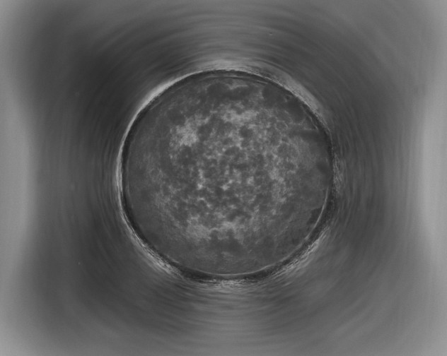 X0000116581028200912171519