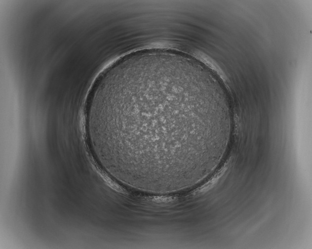 X0000116581029200912171519