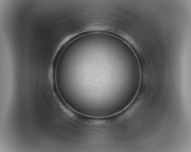 X0000116581030200912171519