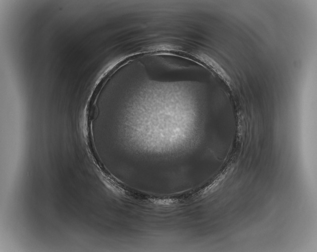 X0000116581031200912171520