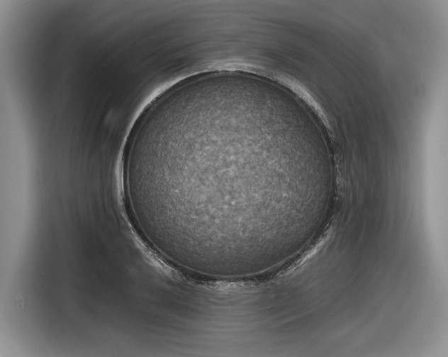 X0000116581032200912171520