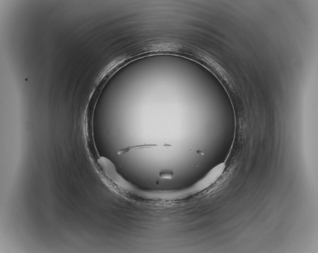 X0000116581034200912171520