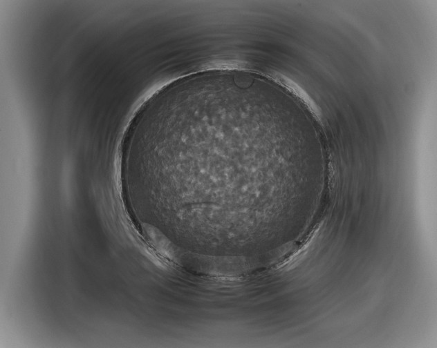 X0000116581035200912171520