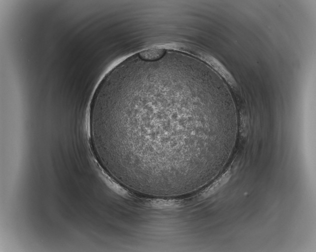 X0000116581036200912171520