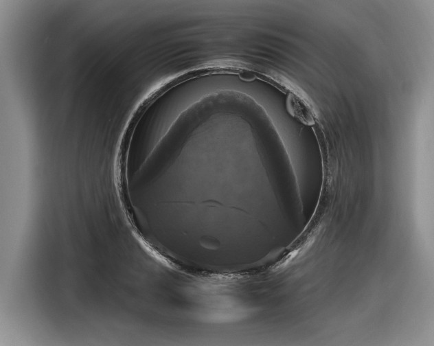 X0000116581037200912171520