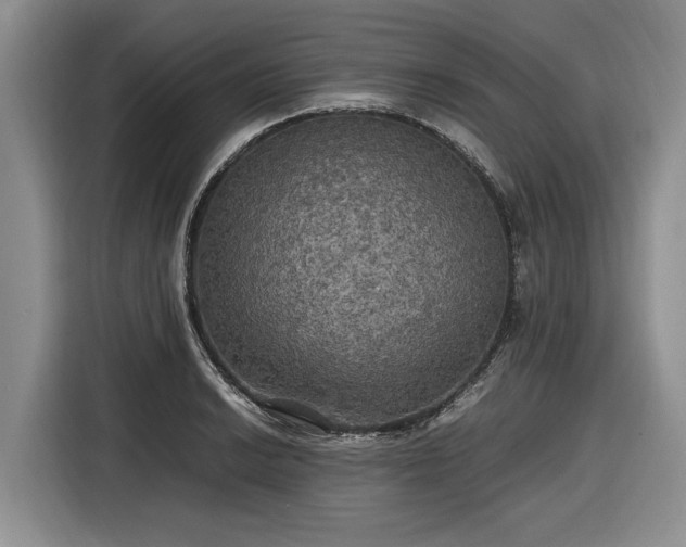 X0000116581038200912171520