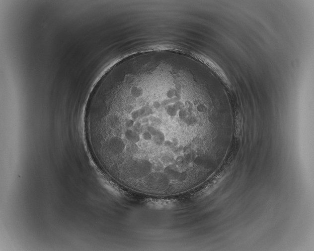 X0000116581039200912171520