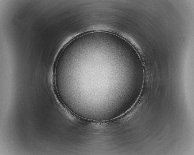 X0000116581040200912171520