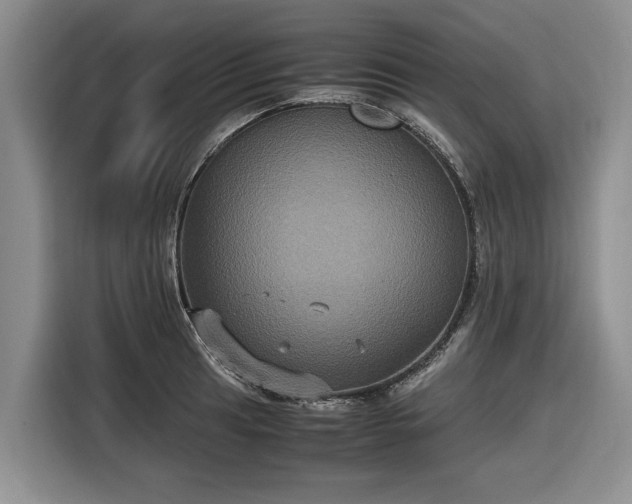 X0000116581041200912171520