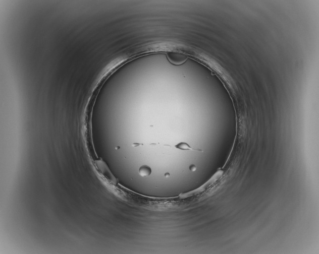 X0000116581042200912171520