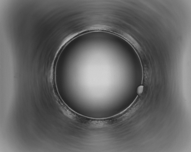 X0000116581044200912171520