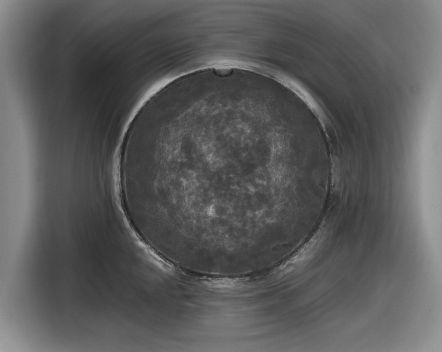 X0000116581048200912171520